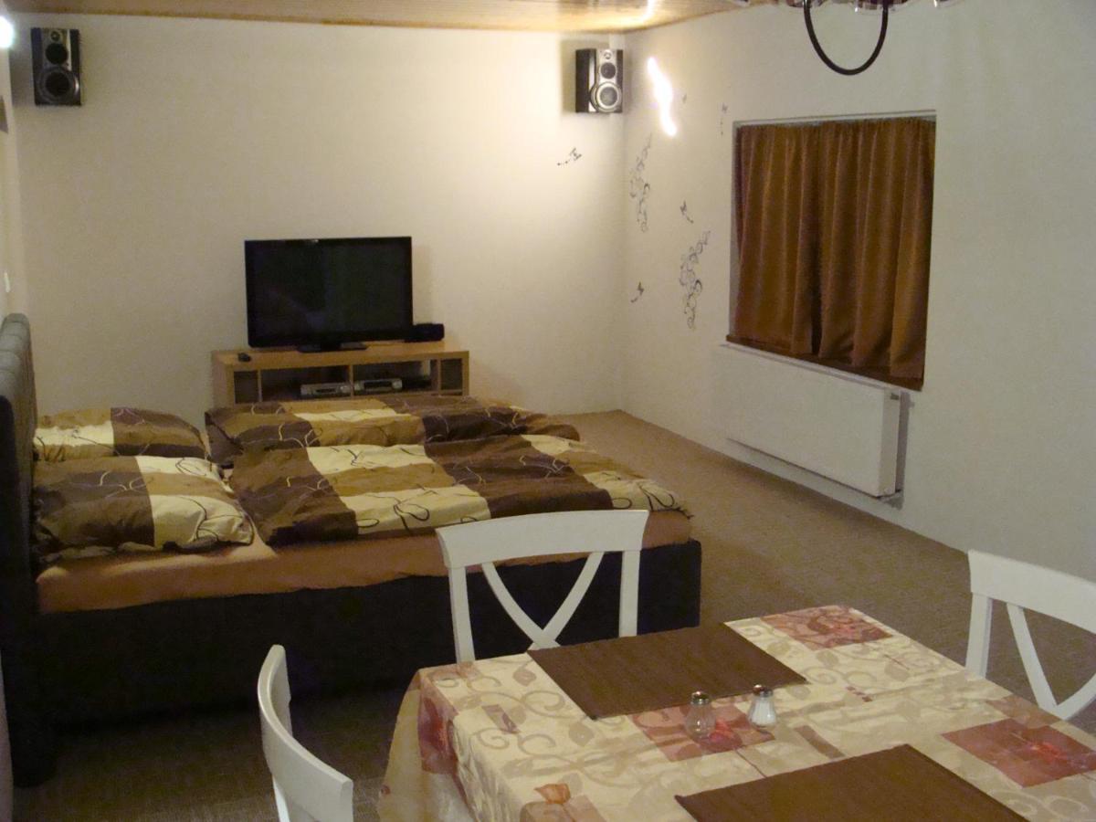 U Vodnika Apartment *