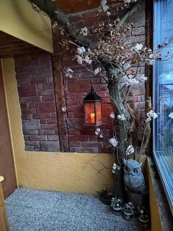 U Vodnika Apartment Mohelnice