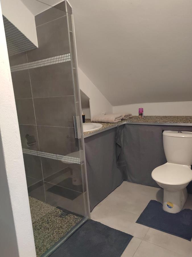 U Vodnika Apartment Mohelnice